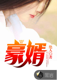 豪婿(超级女婿)