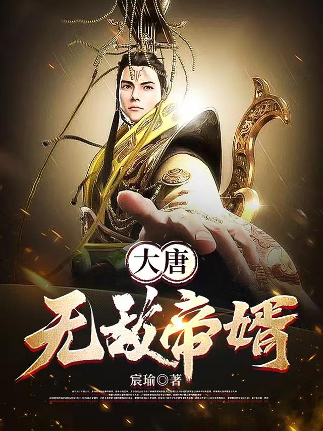 大唐:无敌帝婿