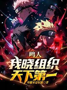 鸣人:我也没说这是正经火影啊